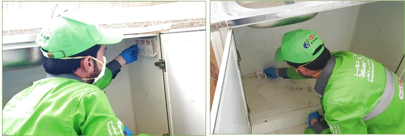 Diệt gián - Vị trí đặt bẫy