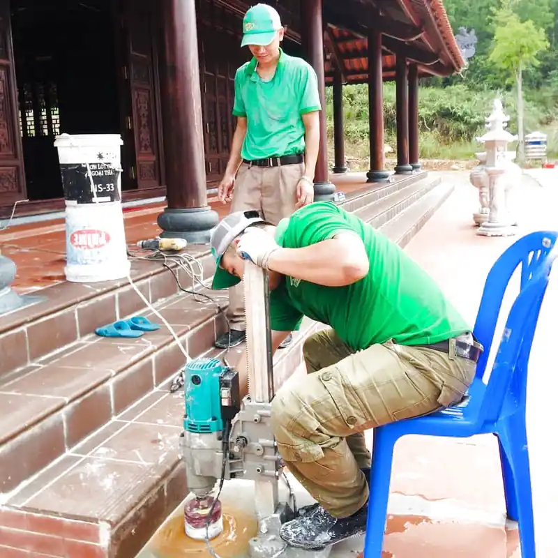 Dịch vụ diệt mối